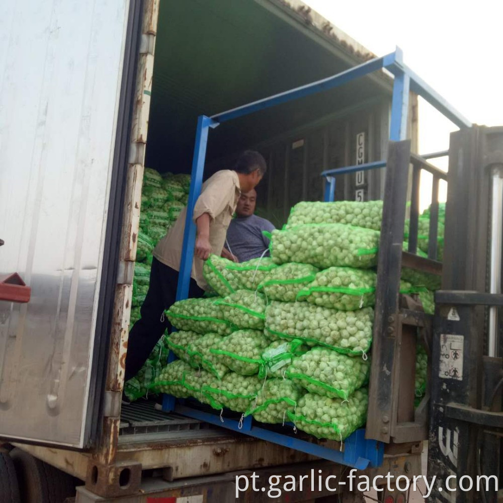 Chinese garlic exports volume